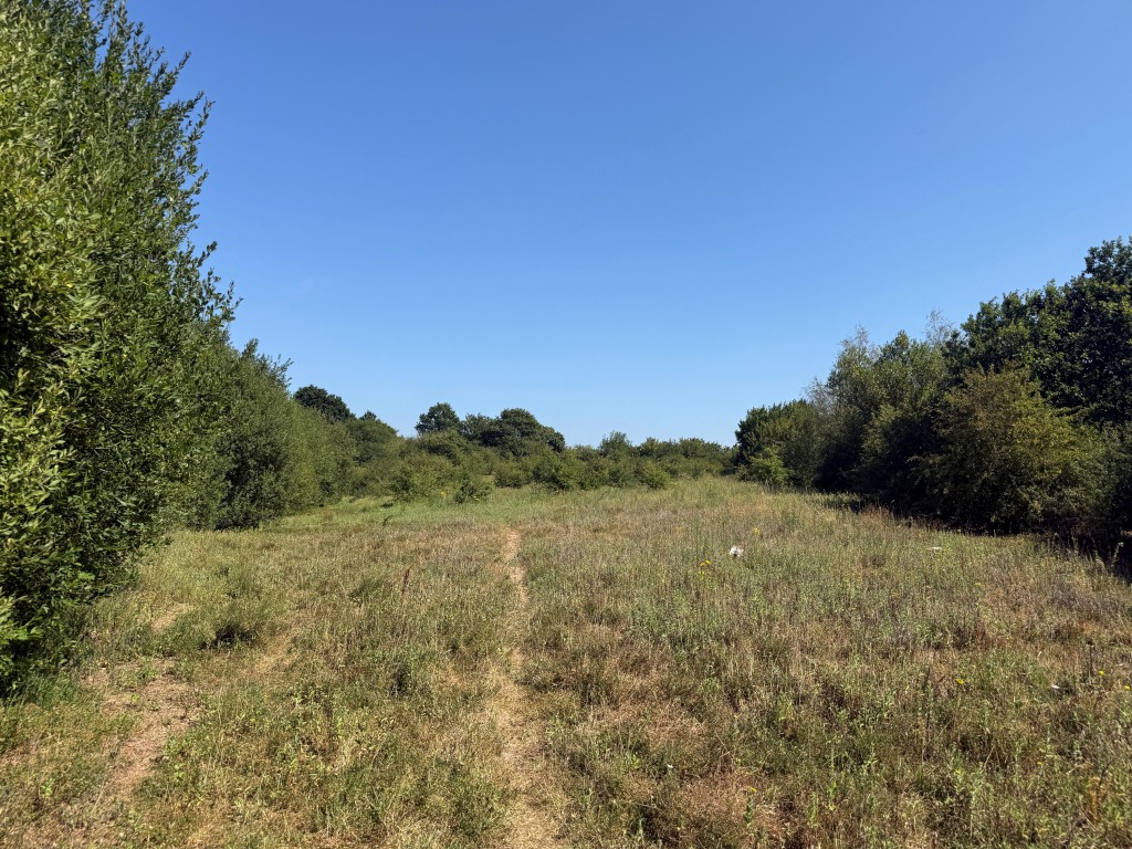 Lot: 48 - JUST UNDER FIVE ACRES OF LAND INCORPORATING LAKE - View of land one